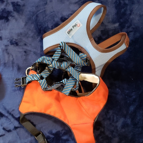 2/$32 Small/Medium Dog Lot - Picture 4 of 6